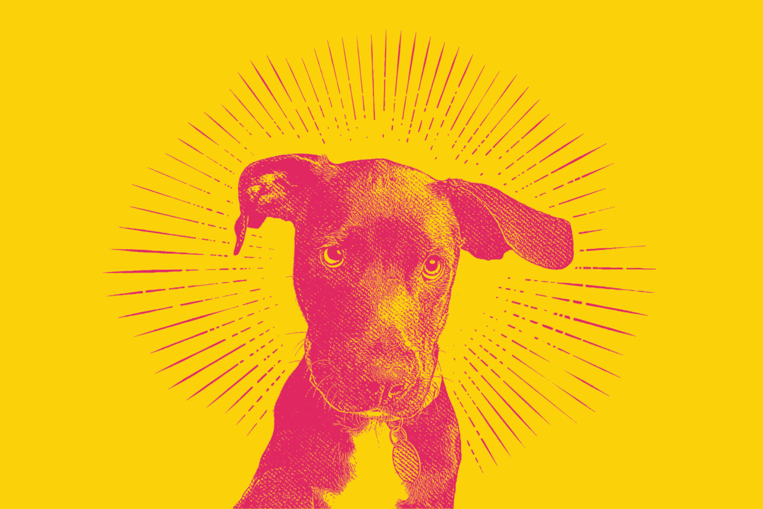 A color-washed photo of a puppy. It represents the first AI elections and the "dog that didn't bark."