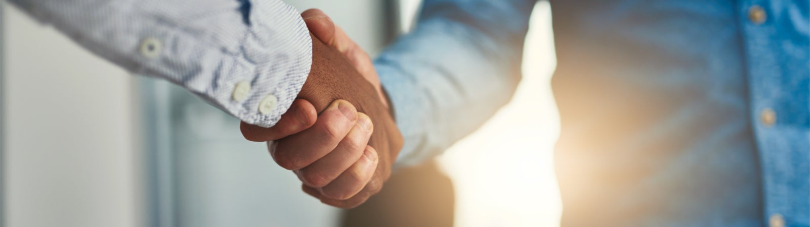 Two people shaking hands