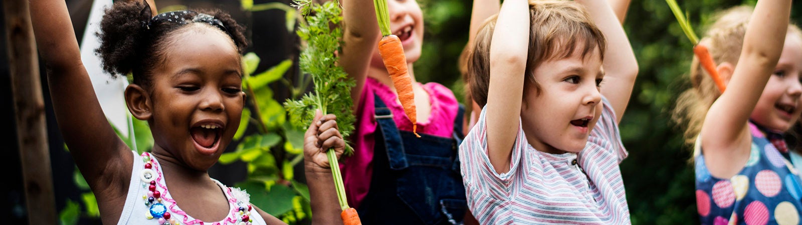 Kids in a vegetable garden with carrots