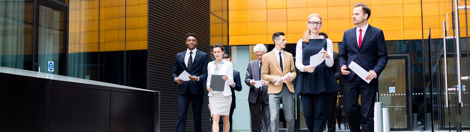 Young intercultural businesspeople in suits